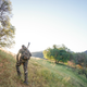 Image for article titled You Don't Know Turkey About Wild Turkeys